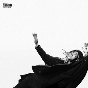 国产精品无码免费播放
