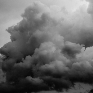 国产精品无码免费播放
